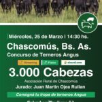 Colombo y Magliano S.A. | Chascomús | Próximo Remate Feria el Miércoles 25 de marzo de 2026
