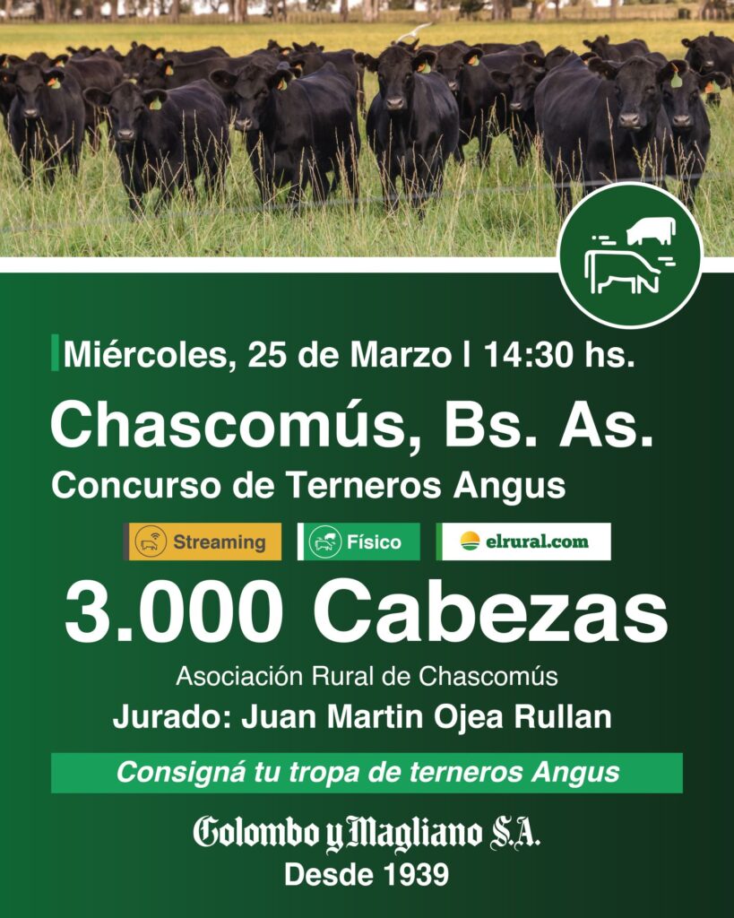 Remate feria Colombo y Magliano Chascomús 25 marzo 3000 terneros Angus