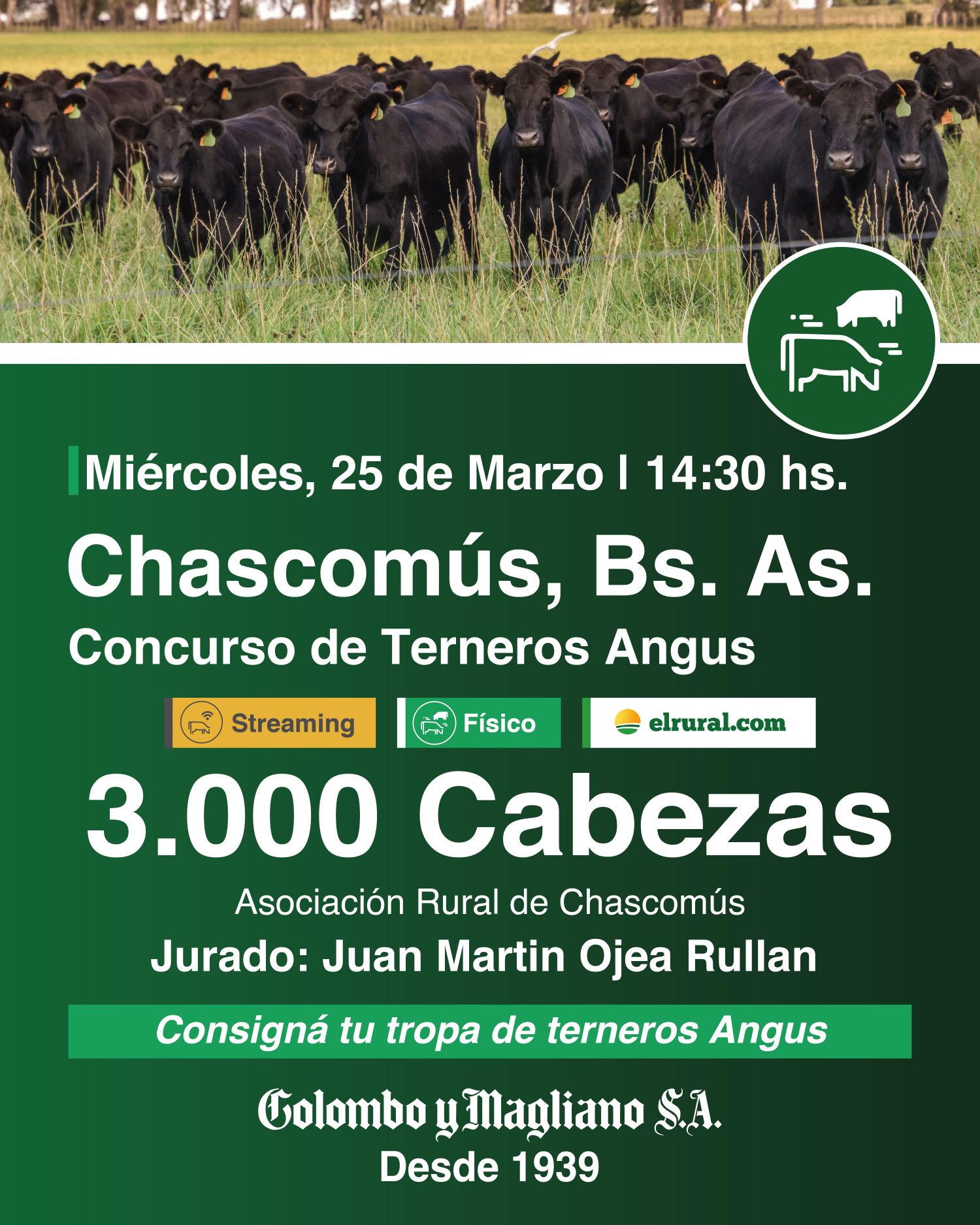 Remate feria Colombo y Magliano Chascomús 25 marzo 3000 terneros Angus