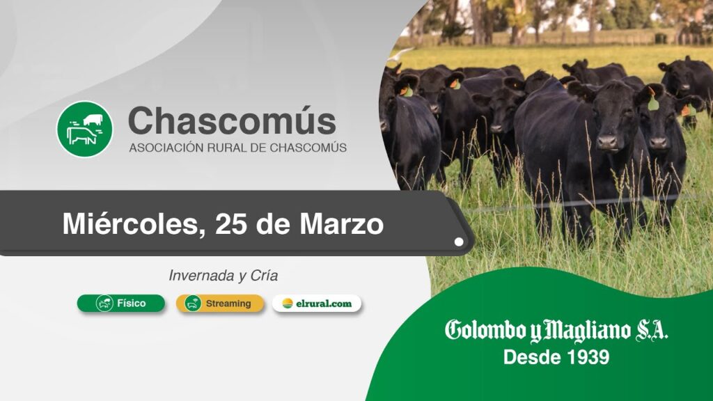 Remate feria Colombo y Magliano en Chascomús el 25 de marzo 2026 con hacienda de invernada y cría en modalidad física y streaming.