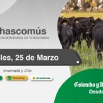 Colombo y Magliano S.A. | Chascomús | Próximo Remate Feria el Miércoles 25 de marzo de 2026