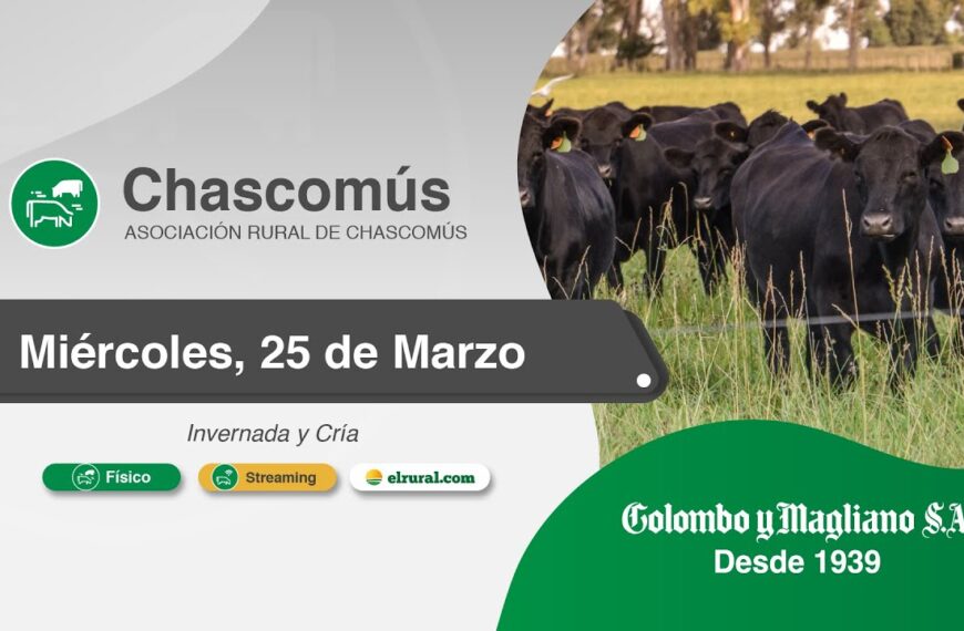 Remate feria Colombo y Magliano en Chascomús el 25 de marzo 2026 con hacienda de invernada y cría en modalidad física y streaming.