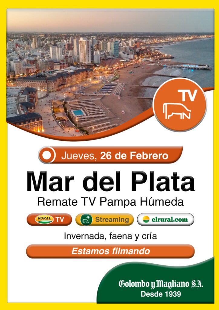 Remate feria Colombo Mar del Plata transmitido por TV y streaming el 26 de febrero 2026 con hacienda de invernada, faena y cría.