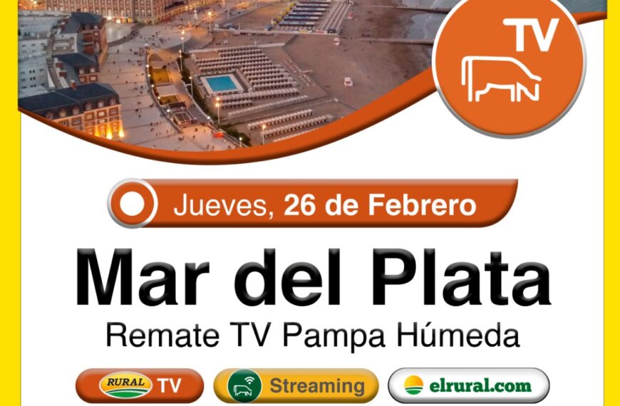 Remate feria Colombo Mar del Plata transmitido por TV y streaming el 26 de febrero 2026 con hacienda de invernada, faena y cría.