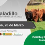 Colombo y Magliano S.A. | Saladillo | Próximo Remate Feria el Jueves 26 de Marzo de 2026