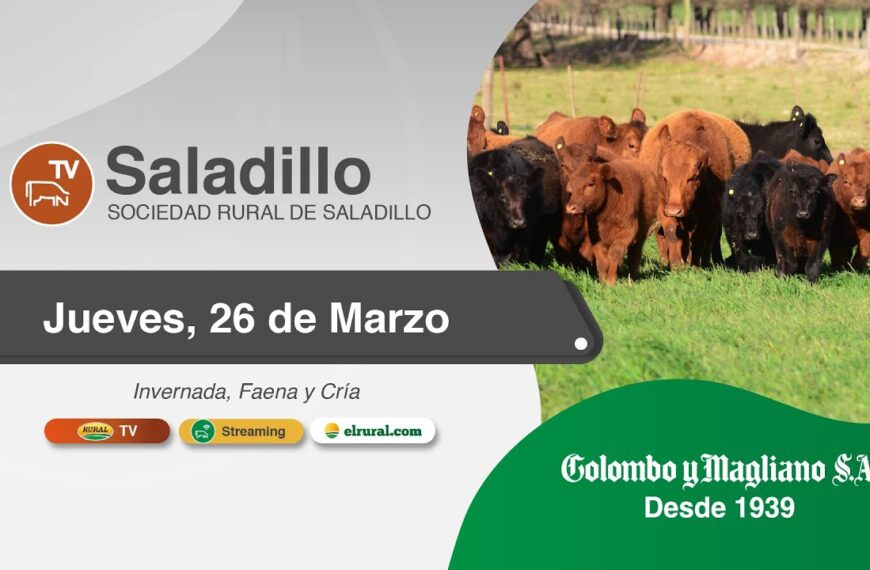 Remate feria Colombo y Magliano en Saladillo el 26 de marzo 2026 con hacienda de invernada, faena y cría en Sociedad Rural