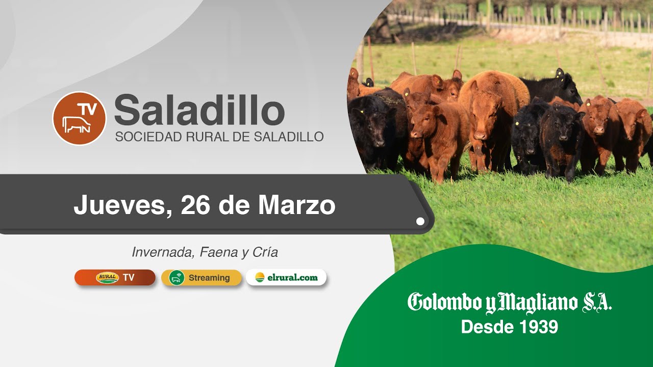 Remate feria Colombo y Magliano en Saladillo el 26 de marzo 2026 con hacienda de invernada, faena y cría en Sociedad Rural