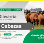 Colombo y Magliano S.A. | Olavarría | Próximo Remate Feria el jueves 5 de febrero de 2026