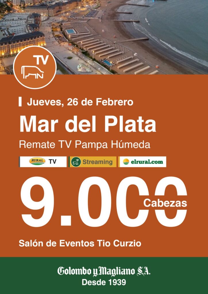 Remate feria Colombo Mar del Plata 26 febrero 2026 con 9.000 cabezas en Tio Curzio