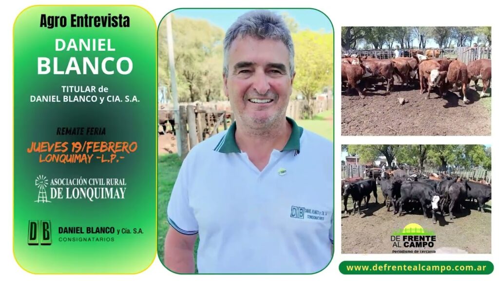 Remate feria Daniel Blanco en Lonquimay con hacienda y consignataria