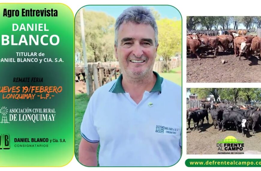 Remate feria Daniel Blanco en Lonquimay con hacienda y consignataria