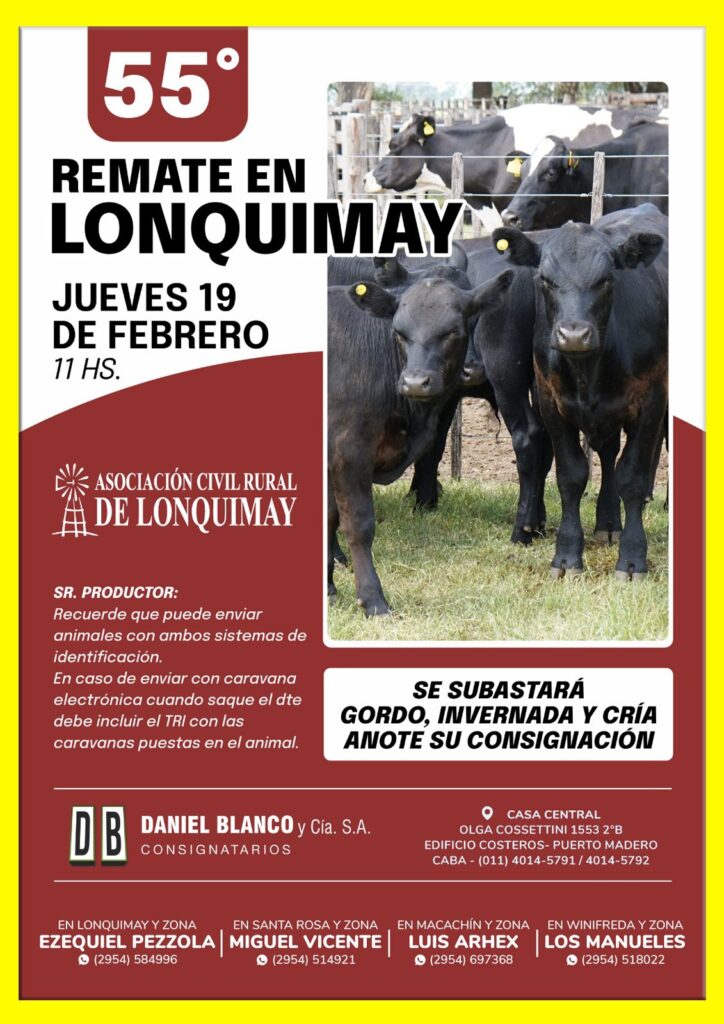 Remate feria Daniel Blanco en Lonquimay con hacienda de gordo, invernada y cría, febrero 2026 en la Rural local.