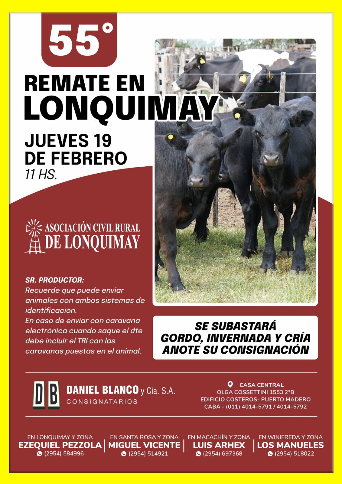 Remate feria Daniel Blanco en Lonquimay con hacienda de gordo, invernada y cría, febrero 2026 en la Rural local.