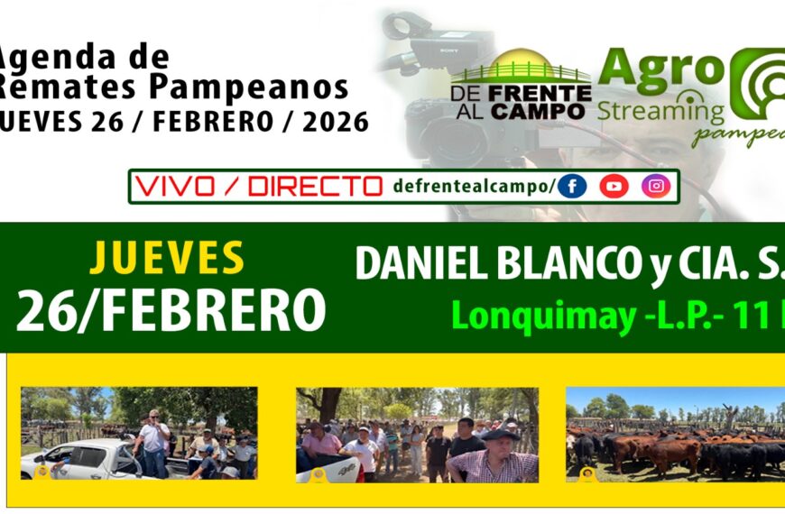 Remate feria Daniel Blanco y Cía. S.A. en Lonquimay, La Pampa, jueves 26 de febrero de 2026, con transmisión en vivo.