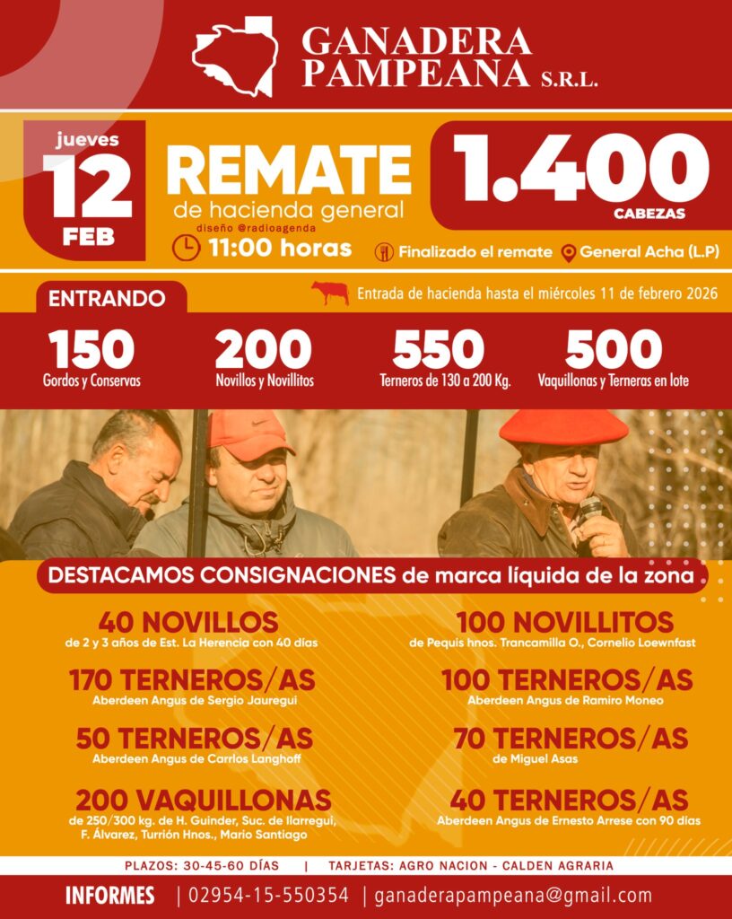 Remate feria Ganadera Pampeana en General Acha con 1.400 cabezas de hacienda general, jueves 12 de febrero 2026