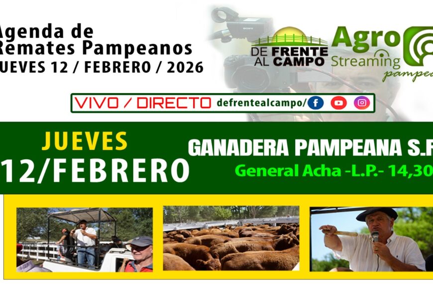 Ganadera Pampeana SRL | General Acha | Próximo Remate Feria el jueves 12 de febrero de 2026