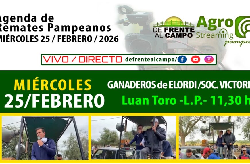 Remate feria Ganaderos de Elordi en Luan Toro, La Pampa, el 25 de febrero de 2026, con transmisión en vivo.