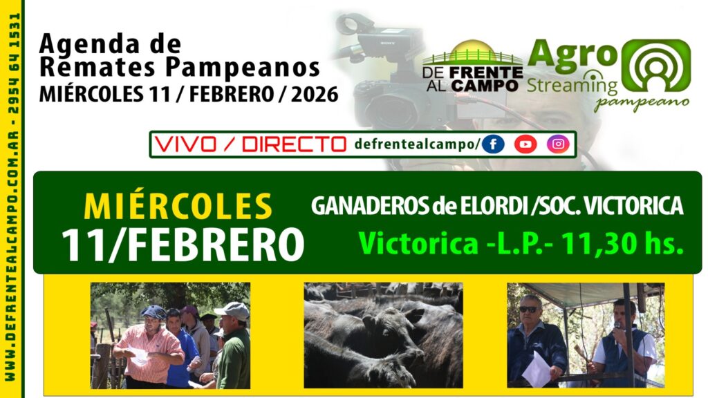 Remate feria de Ganaderos de Elordi y Sociedad Victorica en Victorica, La Pampa, miércoles 11 de febrero de 2026.