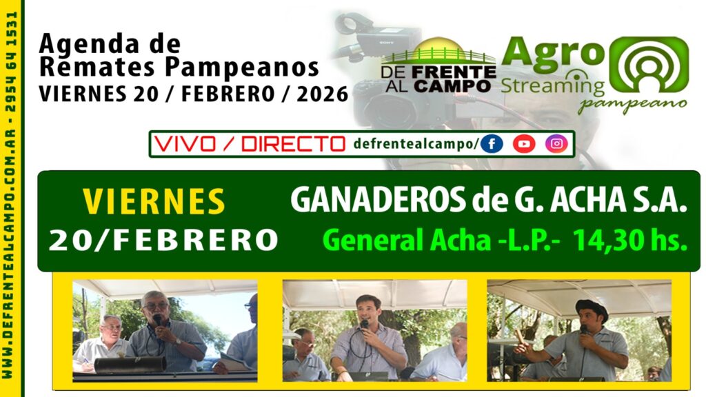 Remate feria Ganaderos de General Acha en General Acha La Pampa, viernes 20 de febrero 2026, transmisión en vivo