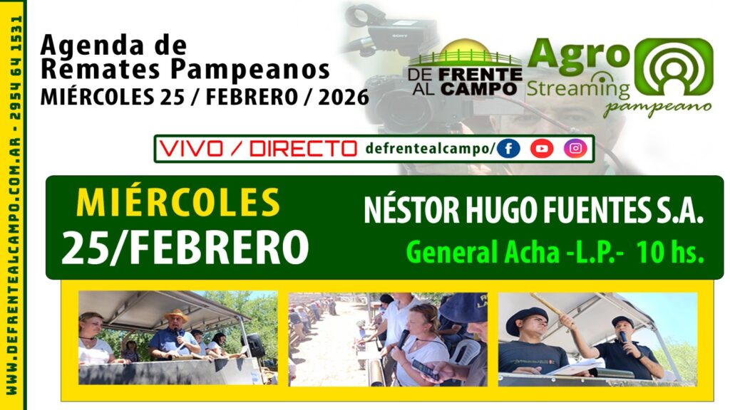 Remate feria Néstor Hugo Fuentes en General Acha, La Pampa, miércoles 25 de febrero de 2026, transmisión en vivo