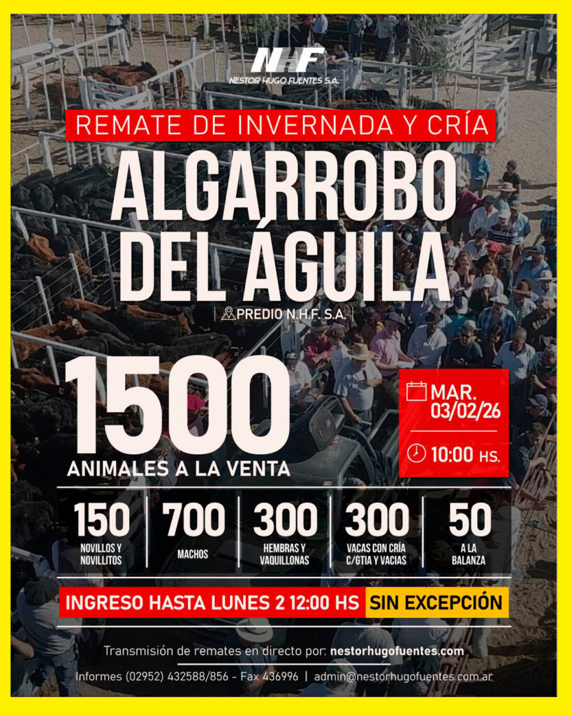 Remate feria Néstor Hugo Fuentes en Algarrobo del Águila con 1500 animales de invernada y cría en febrero 2026