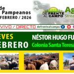 Néstor Hugo Fuentes S.A. | Colonia Santa Teresa | Próximo Remate Feria el jueves 5 de febrero de 2026