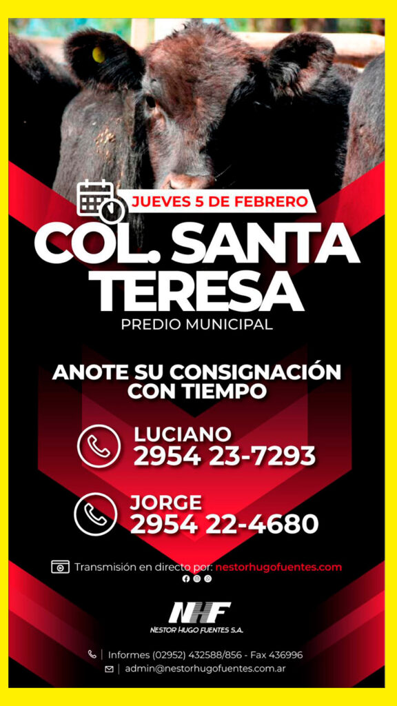Remate feria Néstor Hugo Fuentes S.A. en Colonia Santa Teresa, Predio Municipal, jueves 5 de febrero de 2026