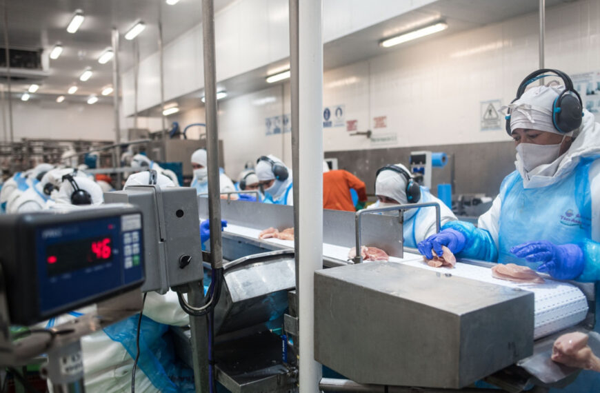 Argentina reabre el mercado de carne aviar hacia la Unión Europea tras recuperar su estatus sanitario