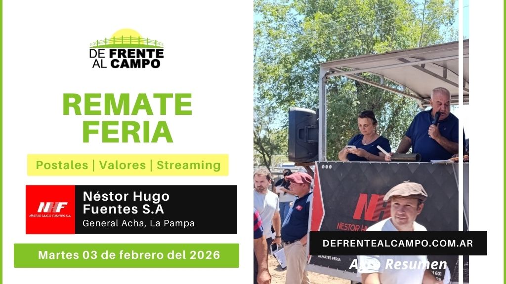 Remate Feria de Néstor Hugo Fuentes S.A. | Algarrobo del Águila | Martes 03/02/2026