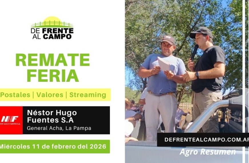Remate Feria de Néstor Hugo Fuentes S.A. | General Acha | Miércoles 11/02/2026