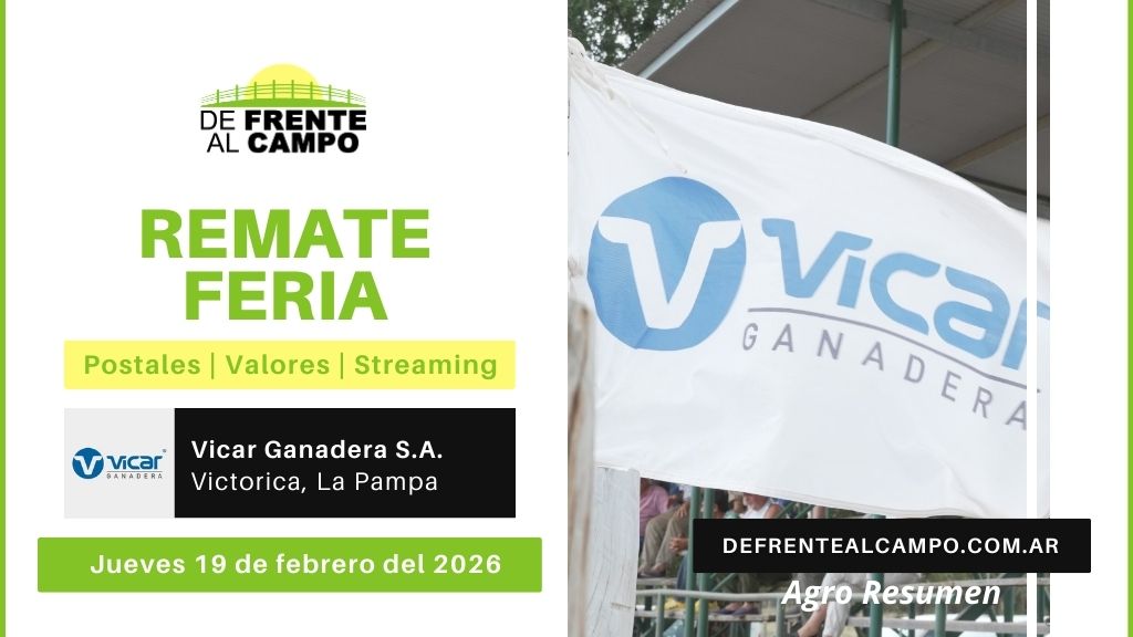 Remate Feria de Vicar Ganadera S.A. | Victorica | Jueves 19/02/2026