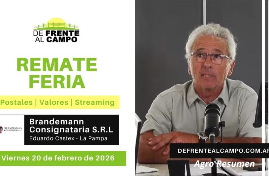 Remate Feria de Brandemann Consignataria S.R.L. | Eduardo Castex | Viernes 20/02/2026