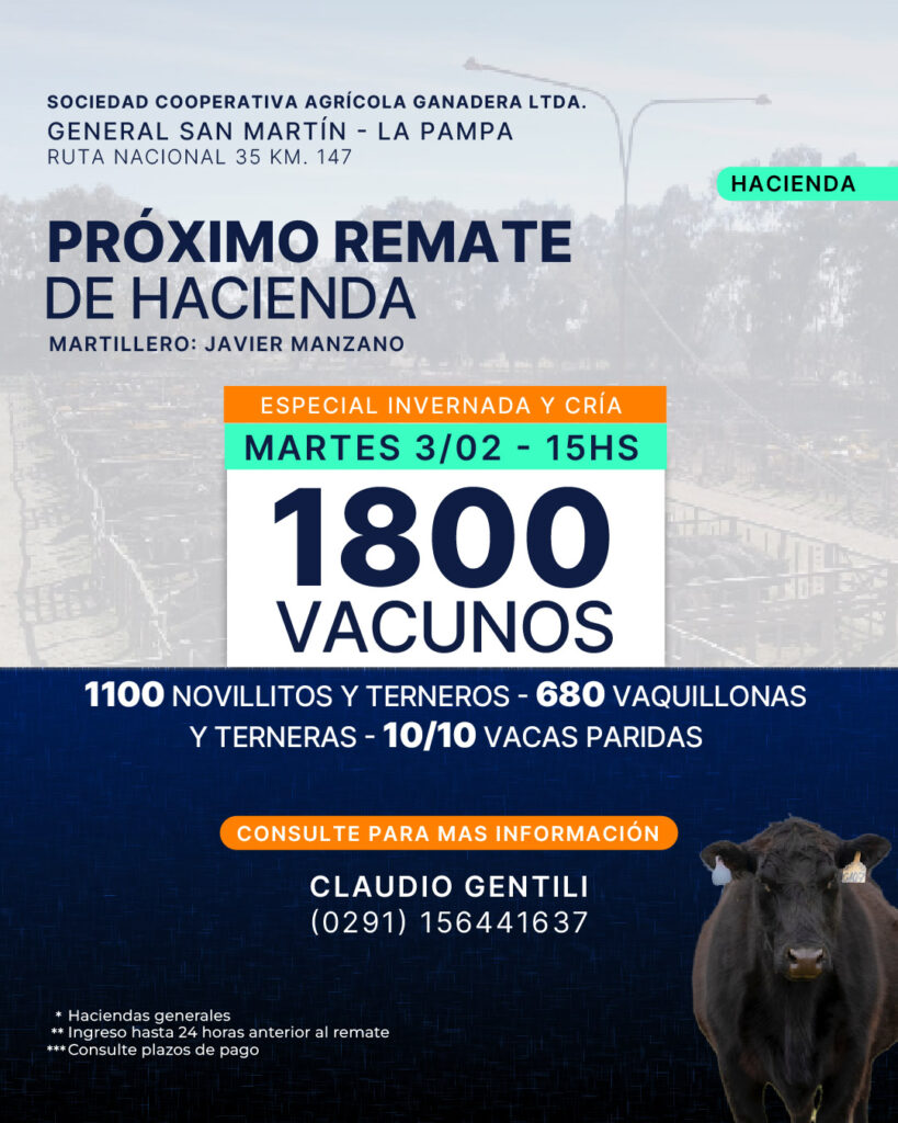 Remate feria Sociedad Cooperativa Agrícola Ganadera en General San Martín, La Pampa, con 1800 vacunos el 3 de febrero de 2026