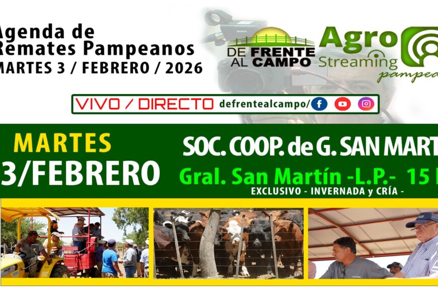 Remate feria Sociedad Cooperativa Agrícola Ganadera en General San Martín, La Pampa, con 1800 vacunos el 3 de febrero de 2026