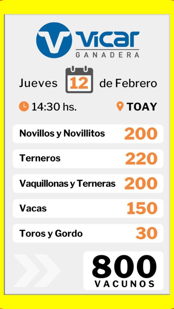 Remate feria de Vicar Ganadera en Toay con 800 vacunos el 12 de febrero de 2026 a las 14:30 hs.