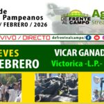 Vicar Ganadera S.A. | Victorica | Próximo Remate Feria el jueves 19 de febrero de 2026