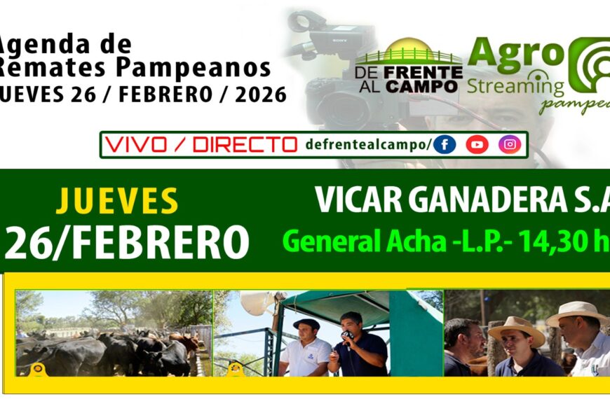 Remate feria de Vicar Ganadera S.A. en General Acha, La Pampa, jueves 26 de febrero de 2026, transmisión en vivo