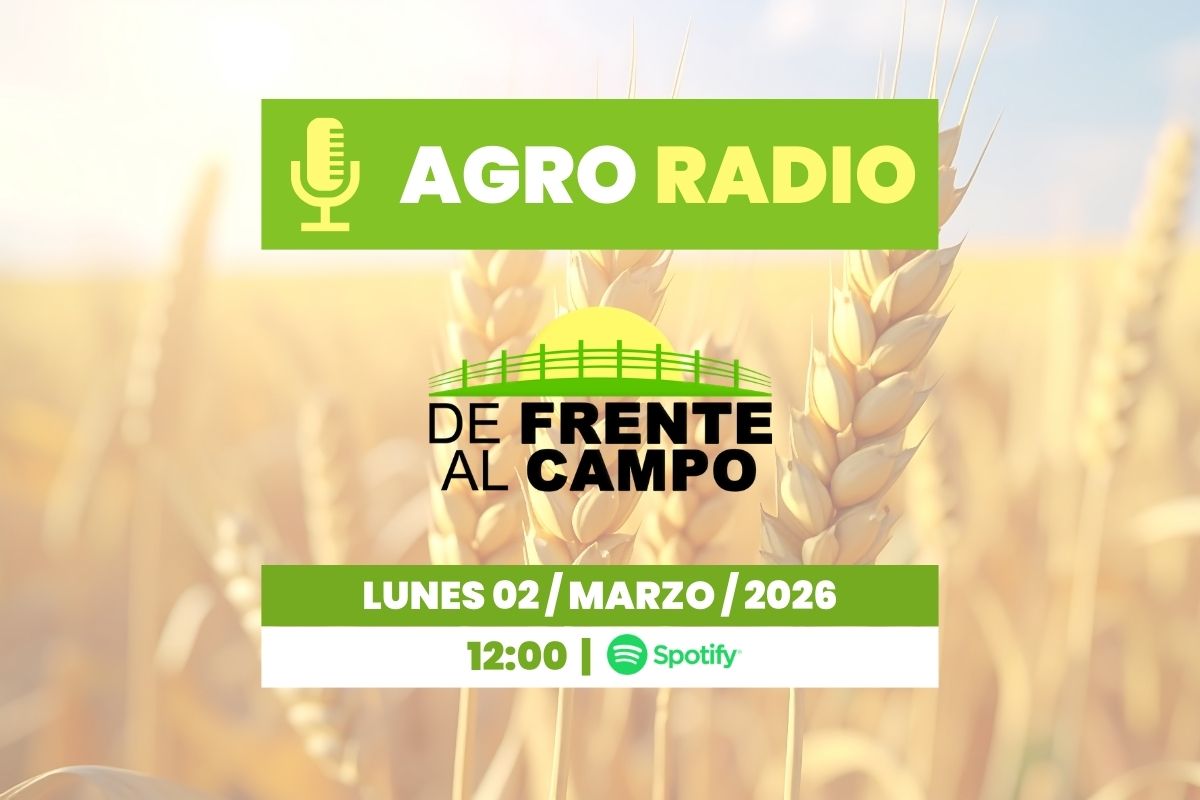 Agro Radio De Frente al Campo, lunes 02 marzo 2026 a las 12:00 por Spotify, fondo de trigo