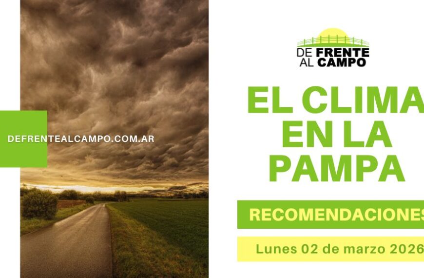 Imagen del Pronóstico del tiempo en La Pampa con nubes de tormenta sobre un camino rural y título “El clima en La Pampa”.