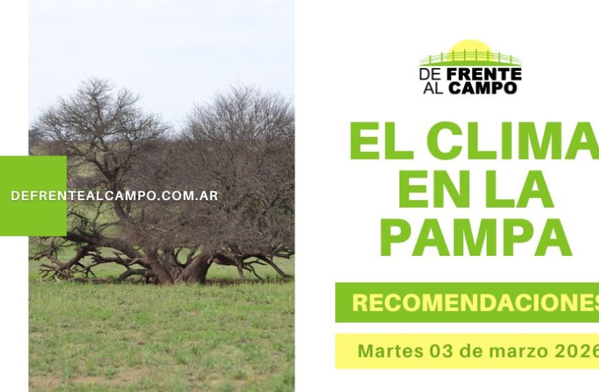 Pronóstico del tiempo en La Pampa con imagen de campo y árbol, título “El clima en La Pampa” y fecha martes 03 de marzo 2026.