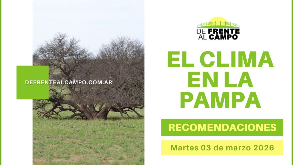 Pronóstico del tiempo en La Pampa con imagen de campo y árbol, título “El clima en La Pampa” y fecha martes 03 de marzo 2026.