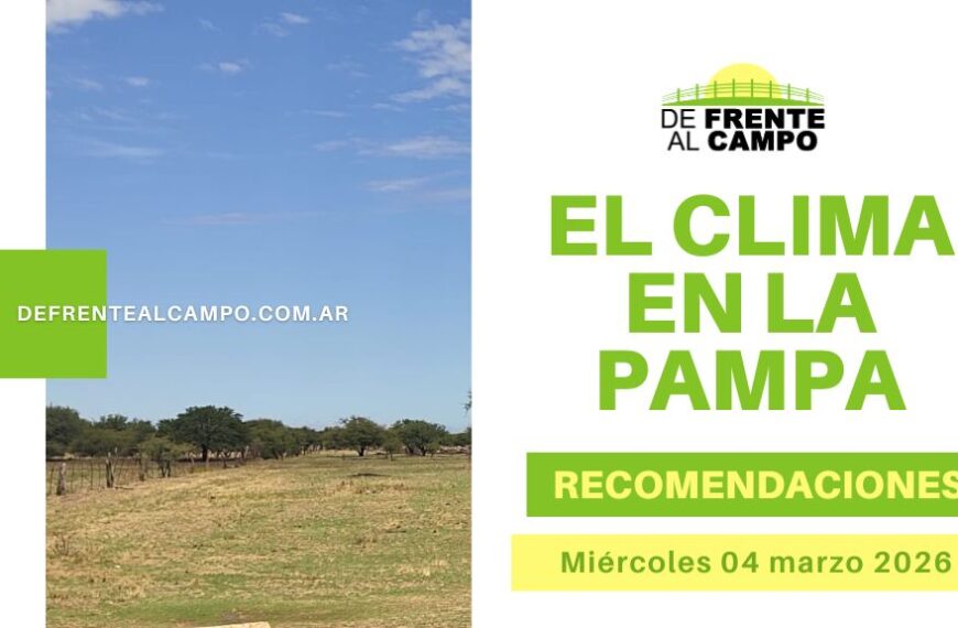 Pronóstico del tiempo en La Pampa con campo soleado y recomendaciones para el miércoles 04 marzo 2026