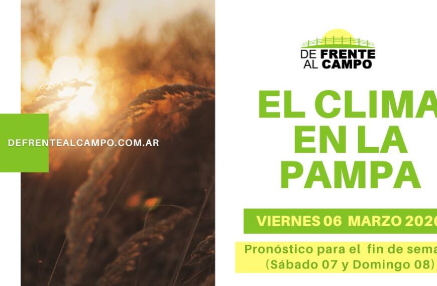 Pronóstico del tiempo en La Pampa este fin de semana sobre campo de trigo al atardecer, portada clima en La Pampa 06 marzo 2026.