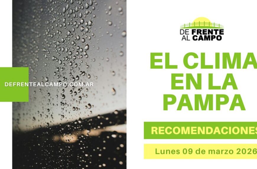 Gotas de lluvia en una ventana ilustran el Pronóstico del tiempo en La Pampa con gráfico “El clima en La Pampa – Recomendaciones”.