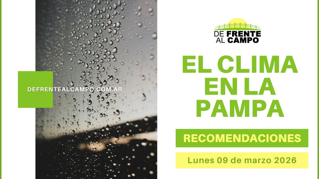 Gotas de lluvia en una ventana ilustran el Pronóstico del tiempo en La Pampa con gráfico “El clima en La Pampa – Recomendaciones”.