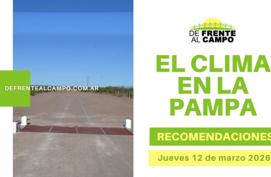 Camino rural en La Pampa con tranquera ganadera y gráfico editorial sobre el Pronóstico del tiempo en La Pampa (12 marzo 2026).