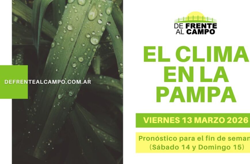 Pronóstico del tiempo en La Pampa este fin de semana en portada climática con hojas con gotas y fecha viernes 13 marzo 2026