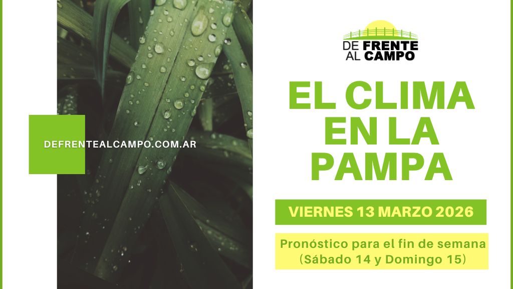 Pronóstico del tiempo en La Pampa este fin de semana en portada climática con hojas con gotas y fecha viernes 13 marzo 2026
