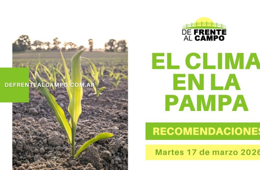 Pronóstico del tiempo en La Pampa con cultivo emergiendo en suelo seco y diseño informativo del clima