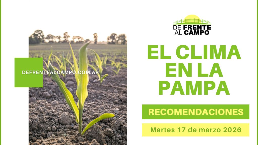 Pronóstico del tiempo en La Pampa con cultivo emergiendo en suelo seco y diseño informativo del clima
